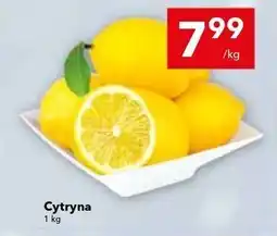Lewiatan Cytryna oferta