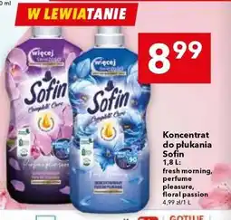 Lewiatan Koncentrat do płukania Sofin oferta