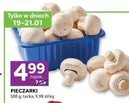 Stokrotka Pieczarki oferta