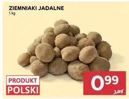 Stokrotka Ziemniaki jadalne oferta