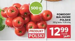 Stokrotka Pomidory malinowe polskie oferta
