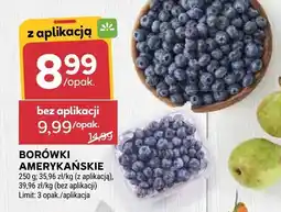 Stokrotka Borówki amerykańskie oferta