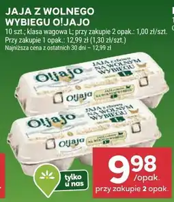 Stokrotka Jaja z wolnego wybiegu oferta