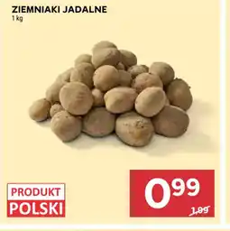 Stokrotka Ziemniaki jadalne oferta