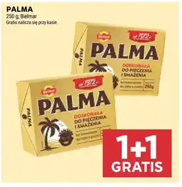 Stokrotka Bielmar Palma oferta