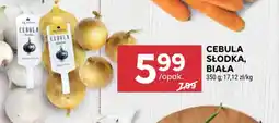 Stokrotka Cebula słodka, biała oferta