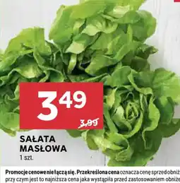 Stokrotka Sałata masłowa oferta