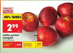 Biedronka Jabłko polskie Jonagold oferta