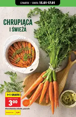 Biedronka Marchewka młoda pęczek oferta