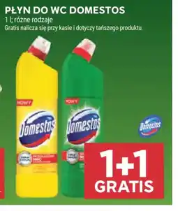 Stokrotka Domestos Płyn do WC oferta