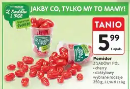 Intermarche Pomidor cherry z sadów i pól oferta