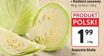 Intermarche Kapusta biała oferta