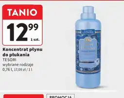 Intermarche Koncentrat płynu do płukania Tesder oferta
