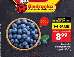 Biedronka Borówka amerykańska, opak oferta