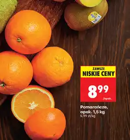 Biedronka Pomarańcze, opak oferta