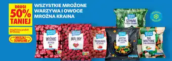 Biedronka Wszystkie mrożone warzywa i owoce Mroźna Kraina oferta