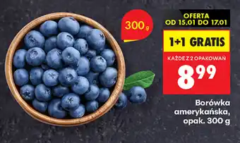 Borówka amerykańska