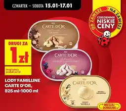 Biedronka Lody familijne Yoghurt & Forest Fruit, 825 ml-1000 ml oferta