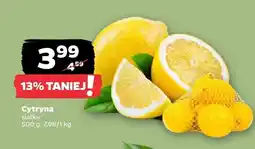 Netto Cytryna siatka oferta