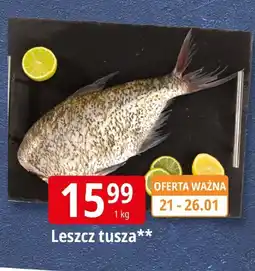 E.Leclerc Leszcz tusza oferta