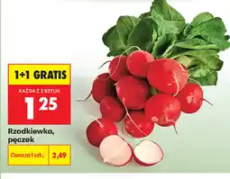 Biedronka Rzodkiewka pęczek oferta