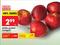 Biedronka Jabłko polskie Jonagold oferta