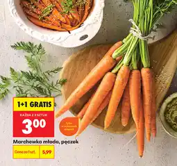 Biedronka Marchewka młoda oferta