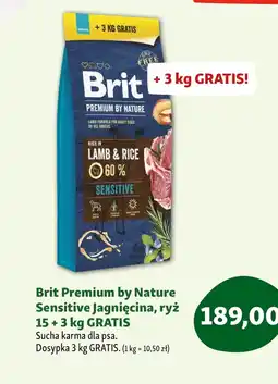 Maxi Zoo Karma dla psa Brit Premium oferta