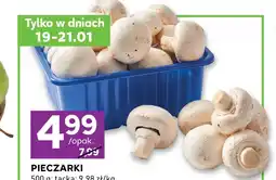 Stokrotka Express Pieczarki oferta