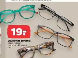 Netto Okulary oferta