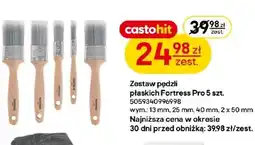 Castorama Zestaw pędzli oferta
