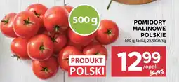 Stokrotka Pomidory oferta