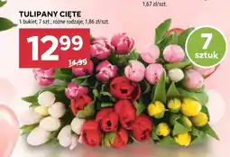 Stokrotka Bukiet tulipanów Tulipany oferta