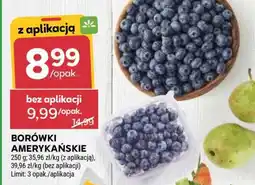 Stokrotka Market Borówki amerykańskie oferta