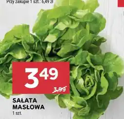 Stokrotka Market Sałata masłowa oferta