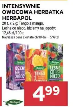 Stokrotka Market INTENSYWNIE OWOCOWA HERBATKA HERBAPOL oferta