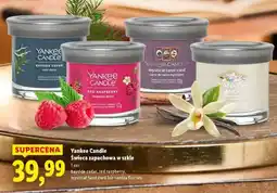 Lidl Yankee Candle Świeca zapachowa w szkle oferta