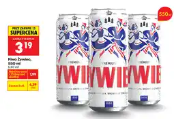 Biedronka Piwo Zywiec oferta