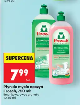 Biedronka Płyn do mycia naczyń Frosch oferta