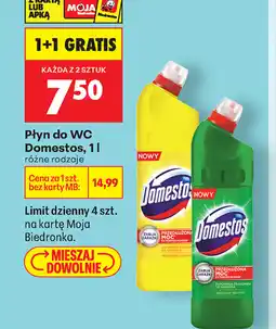 Biedronka Domestos Płyn do WC oferta