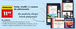 Biedronka Zestaw węgli rysunkowych Loozz Art oferta