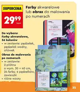 Biedronka Obraz do malowania po numerach Loozz Art oferta