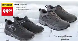Biedronka Buty męskie 42-45 Lotto oferta