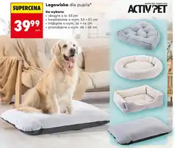 Biedronka Legowisko okrągłe 53 cm Activ Pet oferta