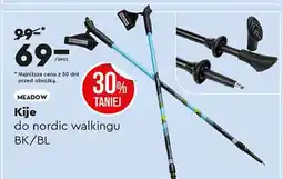 Biedronka Kijki do nordic walkingu meadow Spokey oferta