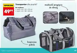 Biedronka Transporter dla zwierząt 43 x 28 cm Activ Pet oferta