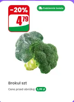 Dino Brokuł 1 szt oferta