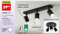 Biedronka Lampa LED oferta