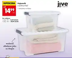 Biedronka Pojemnik Jive oferta