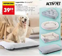 Biedronka Legowisko Active Pet oferta